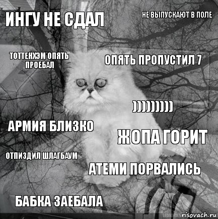 Ингу не сдал Жопа горит Опять пропустил 7 Бабка заебала Армия близко Не выпускают в поле Атеми порвались Тоттенхэм опять проебал Отпиздил шлагбаум ))))))))), Комикс  кот безысходность