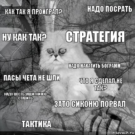 Как так я проиграл? Что я сделал не так? Стратегия Тактика Пасы чета не шли Надо посрать Зато сиконю порвал Ну как так? Надо шесть защитников ставить Надо накатить 50грамм, Комикс  кот безысходность