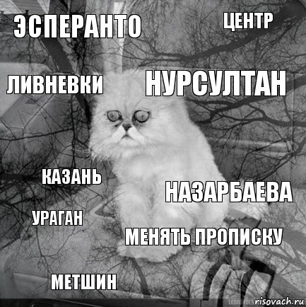 эсперанто назарбаева нурсултан метшин казань центр менять прописку ливневки ураган , Комикс  кот безысходность