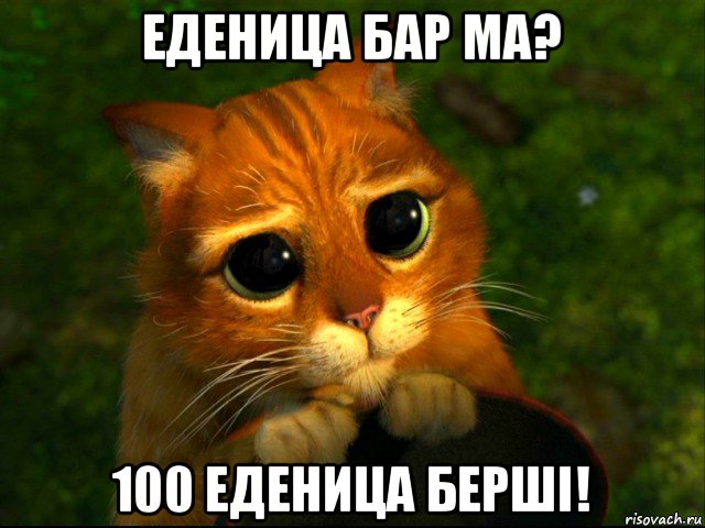 еденица бар ма? 100 еденица берші!, Мем кот из шрека