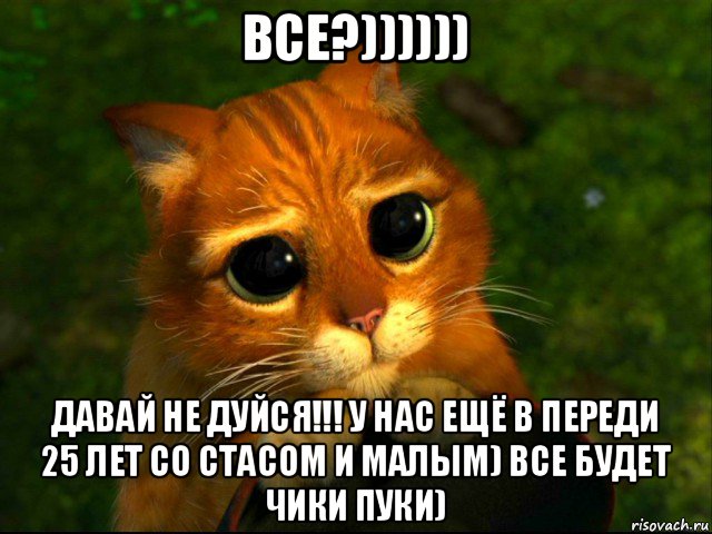 все?)))))) давай не дуйся!!! у нас ещё в переди 25 лет со стасом и малым) все будет чики пуки), Мем кот из шрека