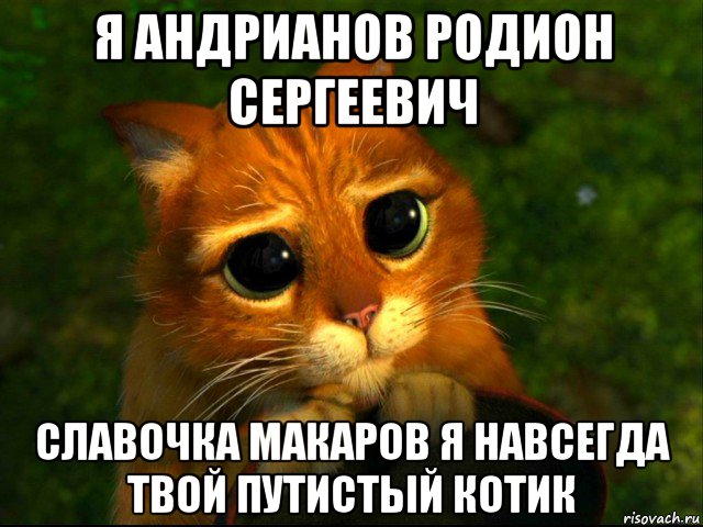 я андрианов родион сергеевич славочка макаров я навсегда твой путистый котик, Мем кот из шрека