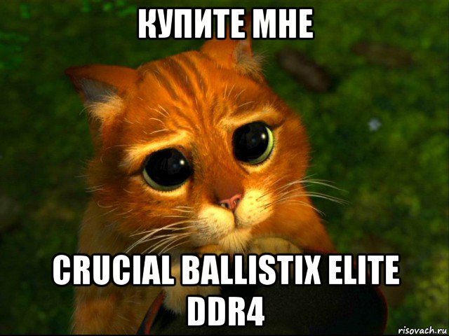 купите мне crucial ballistix elite ddr4, Мем кот из шрека