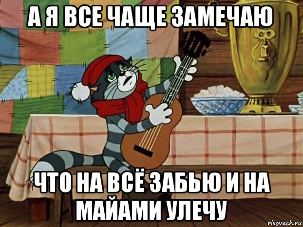 а я все чаще замечаю что на всё забью и на майами улечу, Мем Кот Матроскин с гитарой