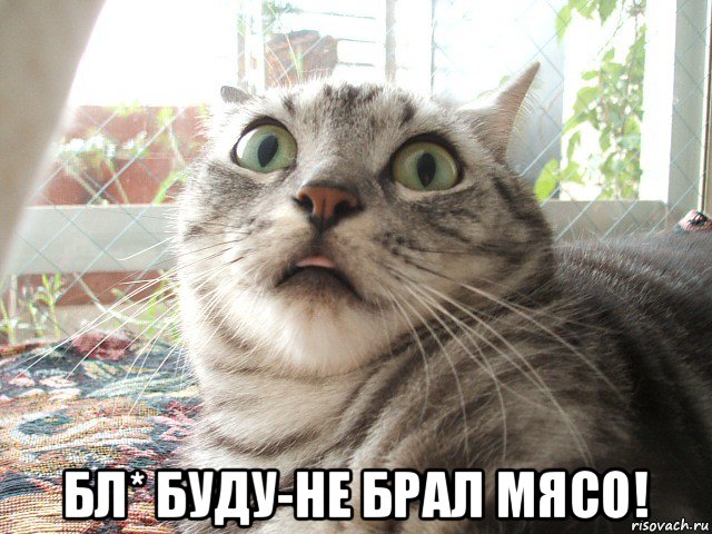  бл* буду-не брал мясо!