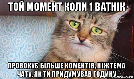 той момент коли 1 ватнік провокує більше коментів, ніж тема чату, як ти придумував годину, Мем  кот печаль