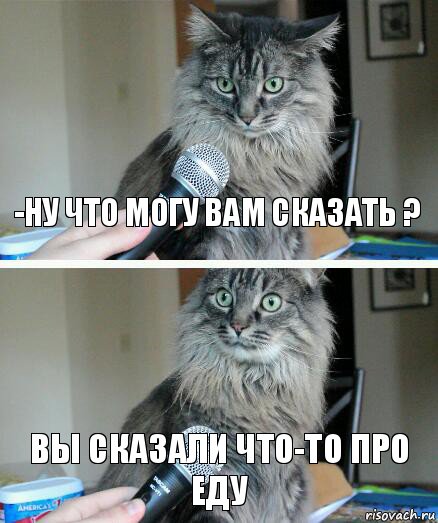 -Ну что могу вам сказать ? Вы сказали что-то про еду, Комикс  кот с микрофоном