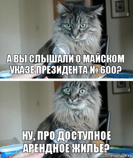 А вы слышали о майском указе президента № 600? Ну, про доступное арендное жилье?, Комикс  кот с микрофоном