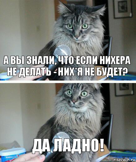 а вы знали, что если нихера не делать - них*я не будет? да ладно!, Комикс  кот с микрофоном