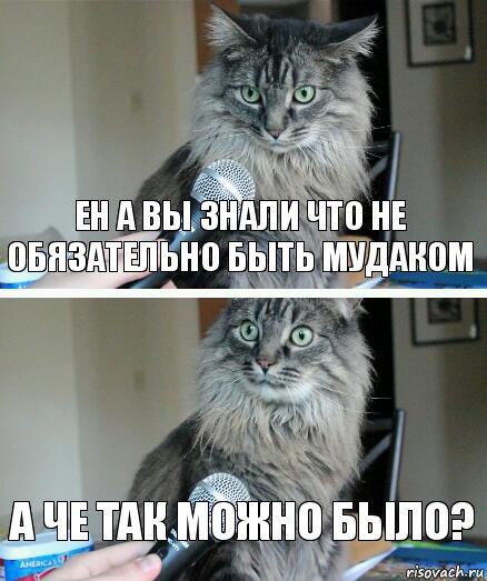 ЕН а вы знали что не обязательно быть мудаком А че так можно было?, Комикс  кот с микрофоном