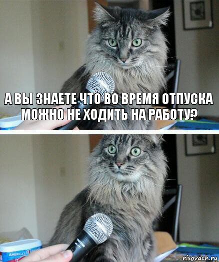 А вы знаете что во время отпуска можно не ходить на работу? , Комикс  кот с микрофоном