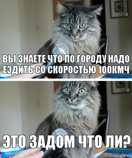 Вы знаете что по городу надо ездить со скоростью 100кмч Это задом что ли?, Комикс  кот с микрофоном