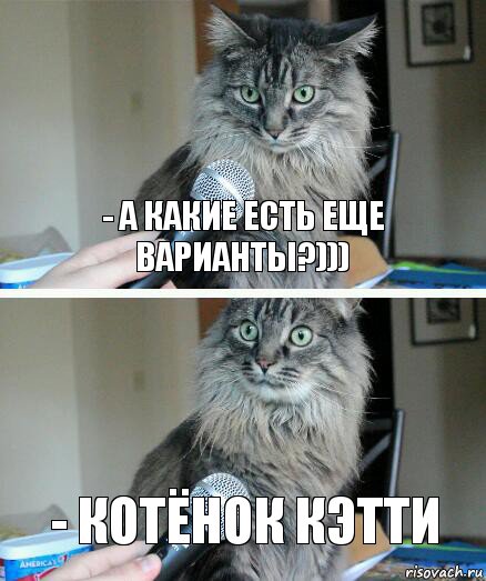 - а какие есть еще варианты?))) - Котёнок Кэтти, Комикс  кот с микрофоном