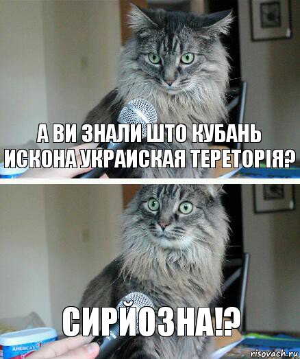 А ви знали што кубань искона Украиская тереторія? Сирйозна!?, Комикс  кот с микрофоном