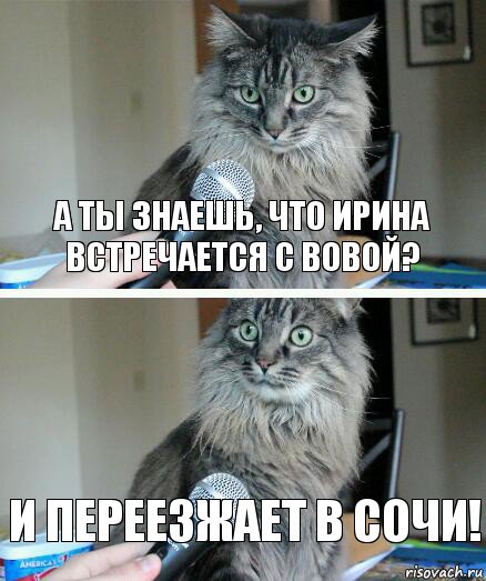 А ты знаешь, что ирина встречается с вовой? И переезжает в сочи!, Комикс  кот с микрофоном