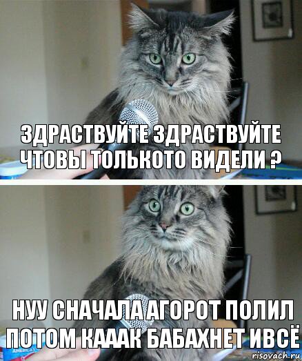 здраствуйте здраствуйте чтовы толькото видели ? нуу сначала агорот полил потом кааак бабахнет ивсё, Комикс  кот с микрофоном