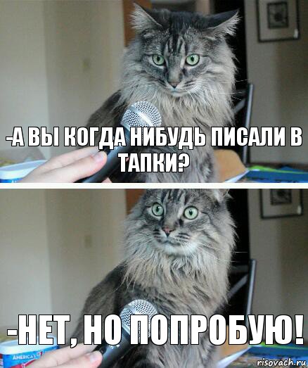 -а вы когда нибудь писали в тапки? -нет, но попробую!, Комикс  кот с микрофоном