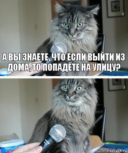 А вы знаете, что если выйти из дома, то попадёте на улицу? , Комикс  кот с микрофоном