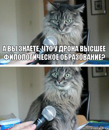 А вы знаете, что у дрона высшее филологическое образование? , Комикс  кот с микрофоном