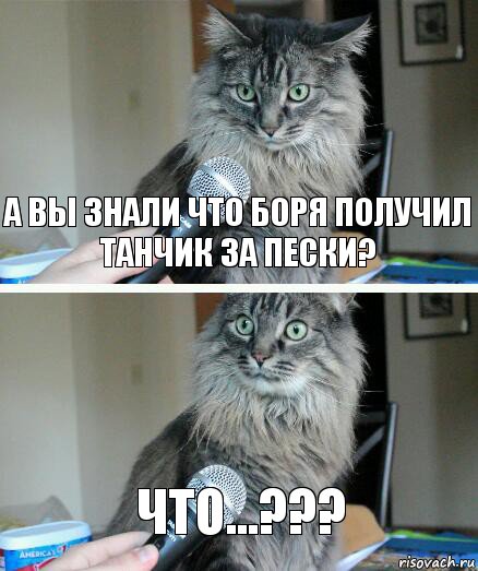 а Вы знали что Боря получил танчик за Пески? ЧТО...???, Комикс  кот с микрофоном