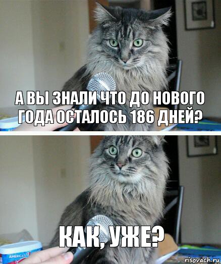 а вы знали что до нового года осталось 186 дней? как, уже?, Комикс  кот с микрофоном