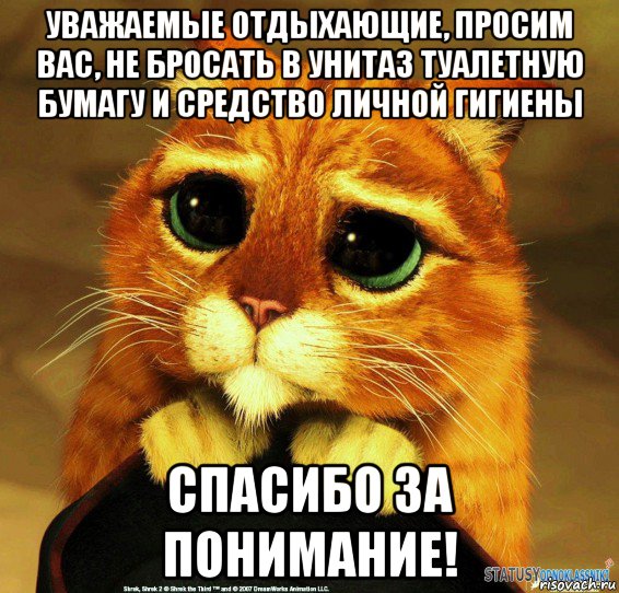 уважаемые отдыхающие, просим вас, не бросать в унитаз туалетную бумагу и средство личной гигиены спасибо за понимание!, Мем Котик из Шрека