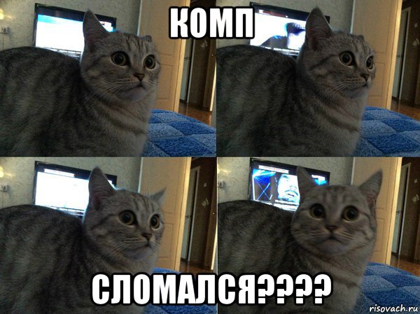 комп сломался????, Мем  Кот в шоке