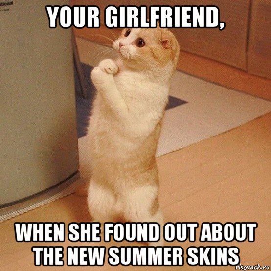 your girlfriend, when she found out about the new summer skins, Мем  котэ молится