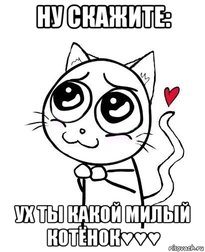 ну скажите: ух ты какой милый котёнок♥♥♥