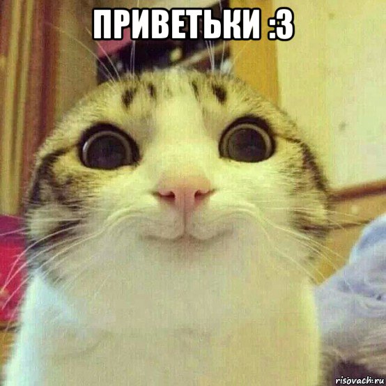 приветьки :3 , Мем       Котяка-улыбака
