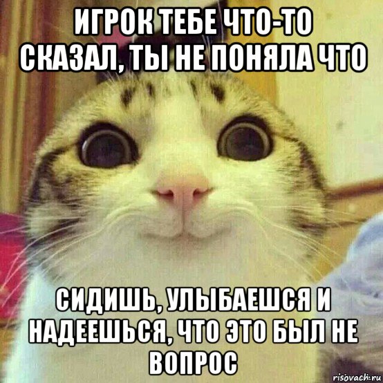 игрок тебе что-то сказал, ты не поняла что сидишь, улыбаешся и надеешься, что это был не вопрос, Мем       Котяка-улыбака