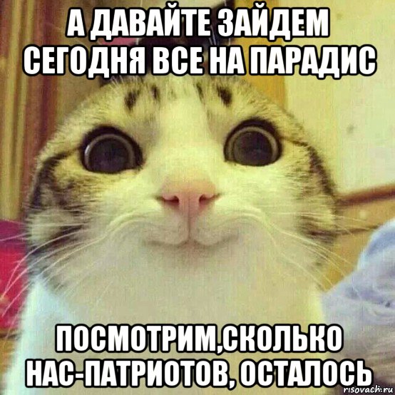 а давайте зайдем сегодня все на парадис посмотрим,сколько нас-патриотов, осталось, Мем       Котяка-улыбака