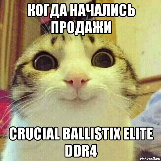 когда начались продажи crucial ballistix elite ddr4, Мем       Котяка-улыбака