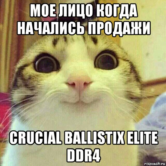 мое лицо когда начались продажи crucial ballistix elite ddr4, Мем       Котяка-улыбака