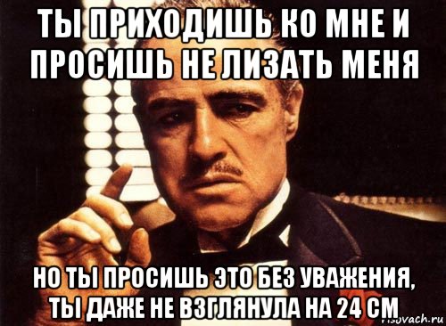 ты приходишь ко мне и просишь не лизать меня но ты просишь это без уважения, ты даже не взглянула на 24 см, Мем крестный отец