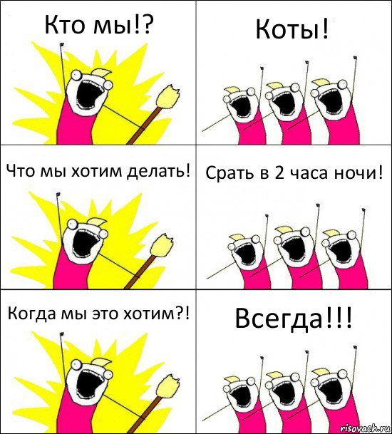 Кто мы!? Коты! Что мы хотим делать! Срать в 2 часа ночи! Когда мы это хотим?! Всегда!!!