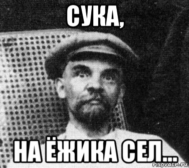 сука, на ёжика сел..., Мем   Ленин удивлен