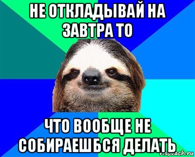 не откладывай на завтра то что вообще не собираешбся делать, Мем Ленивец