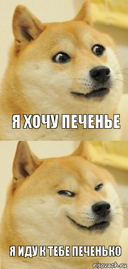 Я хочу печенье Я иду к тебе печенько, Комикс   DOGE довольный