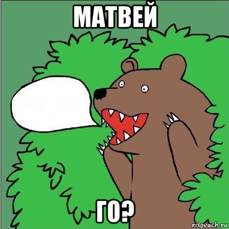 матвей го?, Мем Медведь-шлюха