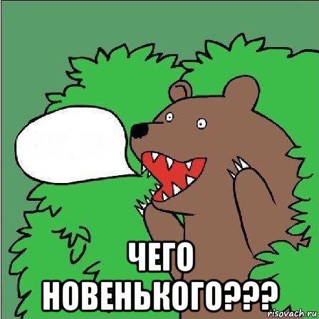  чего новенького???, Мем Медведь-шлюха