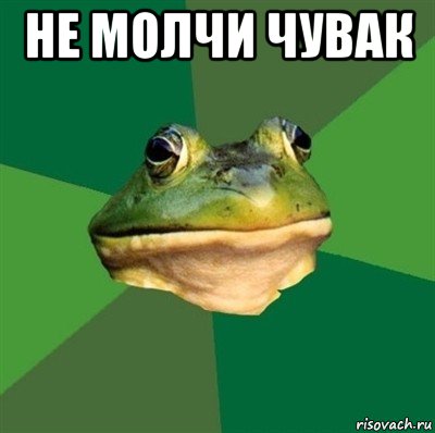 не молчи чувак , Мем  Мерзкая жаба