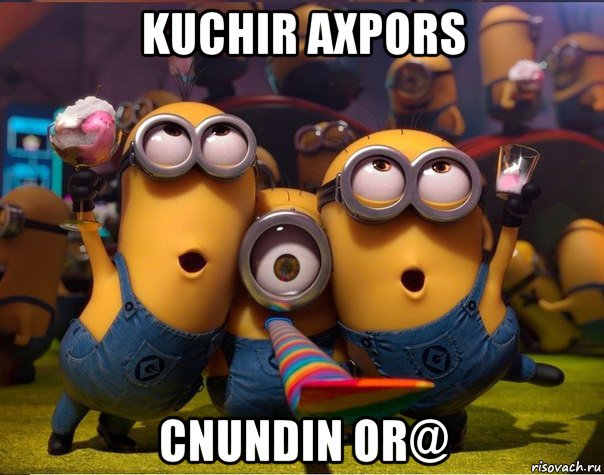 kuchir axpors cnundin or@, Мем   миньоны