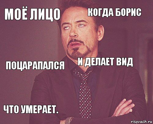 моё лицо когда Борис поцарапался что умерает.  и делает вид    , Комикс мое лицо