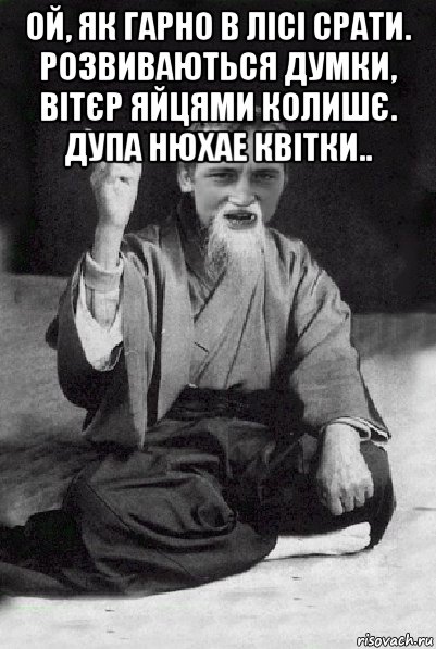 ой, як гарно в лісі срати. розвиваються думки, вітєр яйцями колишє. дупа нюхае квітки.. , Мем Мудрий паца