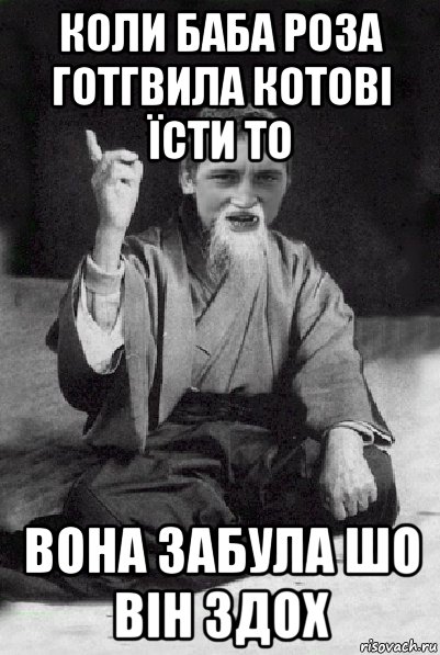 коли баба роза готгвила котові їсти то вона забула шо він здох, Мем Мудрий паца