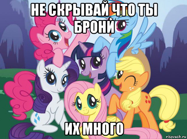 не скрывай что ты брони их много, Мем My little pony