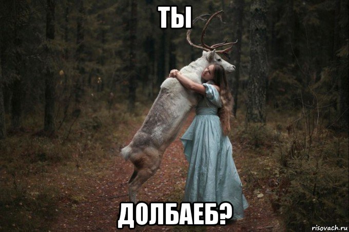 ты долбаеб?