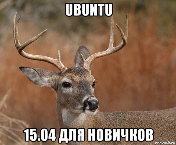 ubuntu 15.04 для новичков, Мем  Наивный Олень v2