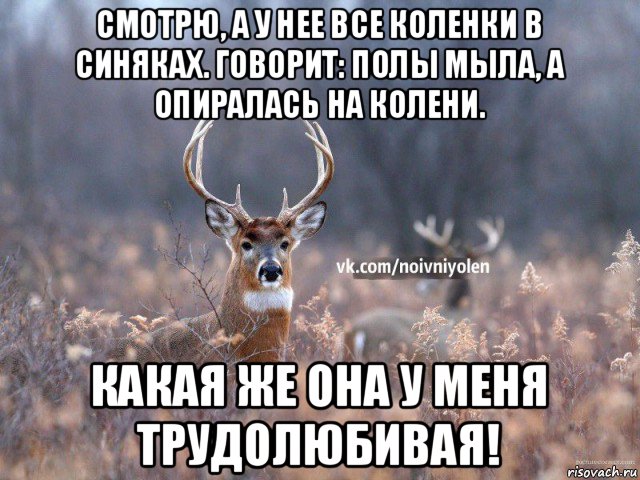 смотрю, а у нее все коленки в синяках. говорит: полы мыла, а опиралась на колени. какая же она у меня трудолюбивая!